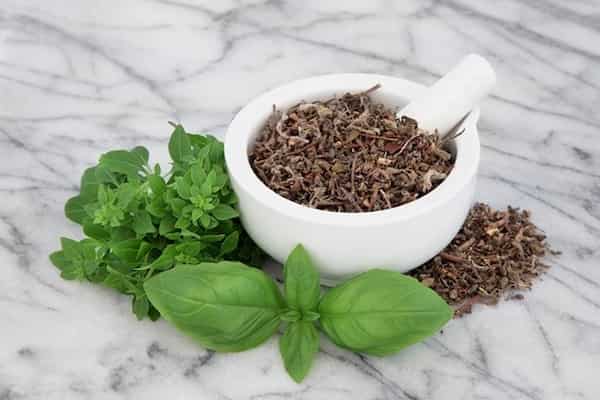 تصویر 5 از قیمت خرید ریحون خشک شده + فروش ویژه
